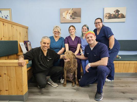 Howard County Animal Hospital