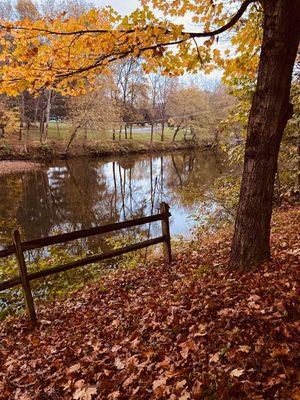 Tunkhannock Creek in the Fall