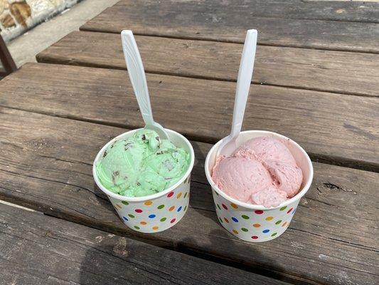 Left is mint chocolate chip and right is summer strawberry