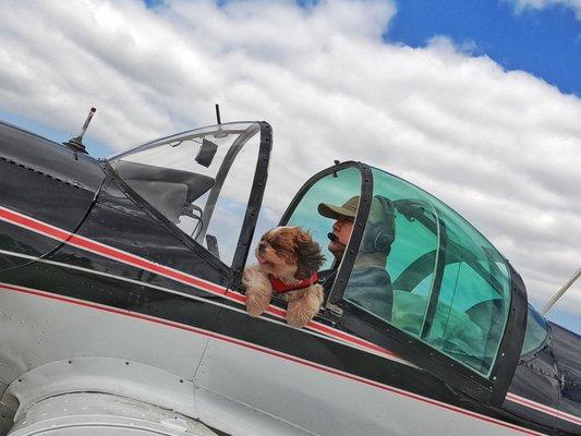 Flying with chewy going to chino groomers. Land at chino airport and drop her off for the day.