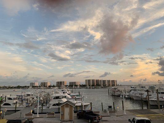 View from back deck