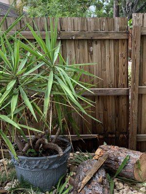 Broken fence