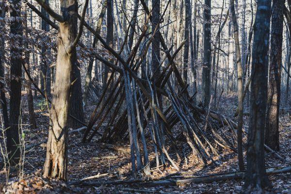 Stick shelter