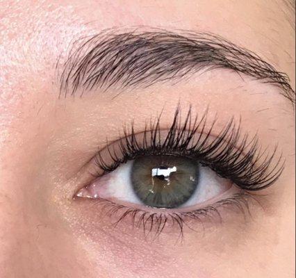 3D Lash Spa