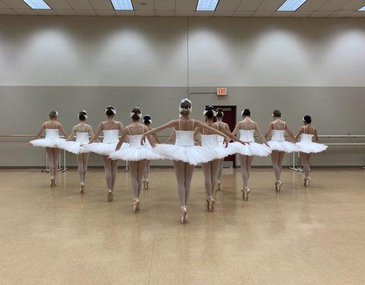 Taylor Dance-Ballet Americana