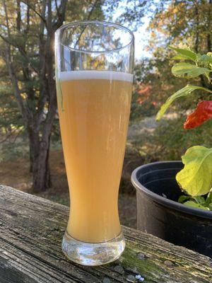 Orange Dwarf - Blood orange weizen.