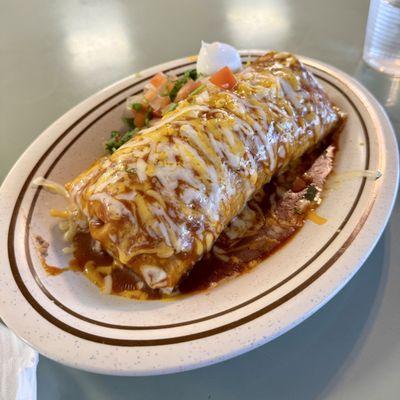 Wet Asada Burrito