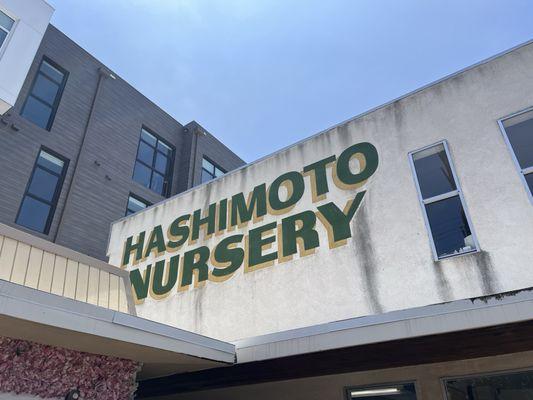 Hashimoto Nursery