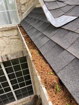 Pollen clogs gutters