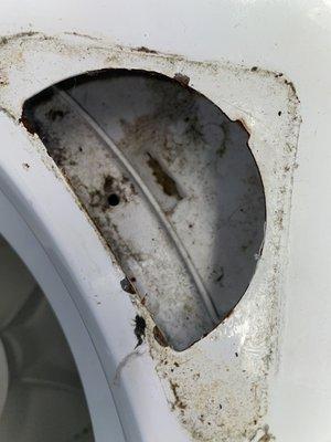 Mold under the bleach tray for the washing machine