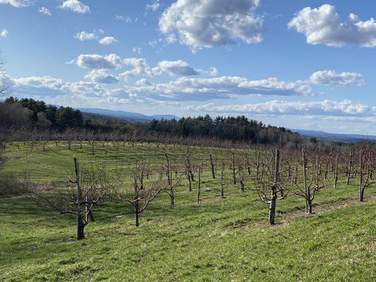 Westerly view from Center HIll. On clear days you can see peak of Mt. Monadnock an d others