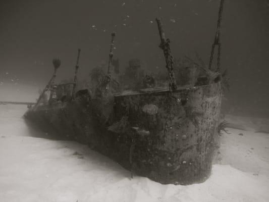 Oro Verde Shipwreck