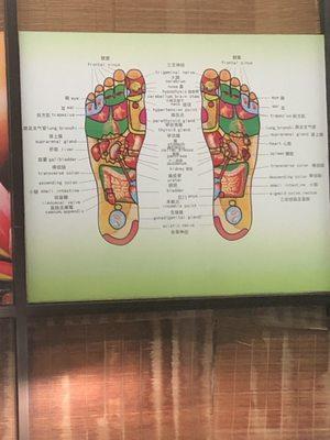 Corresponding pressure points in the body.