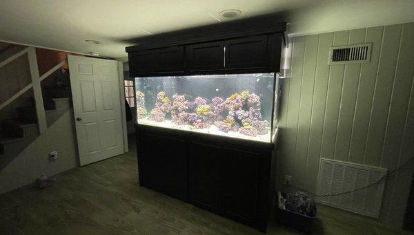 We purchased this 210+ gallon saltwater aquarium reef system from the staff.