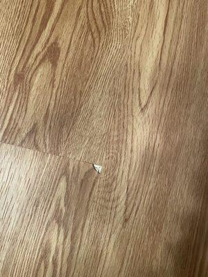 The piece of floor that chipped off less than 9 months of it being installed.