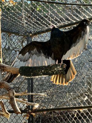 Sulphur Creek Nature Center