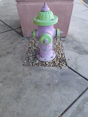 Matching Hydrant