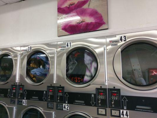 Rows of dryers