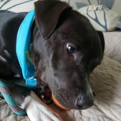 Loves his Orange Ball!