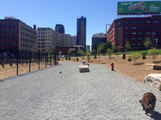 The new Lowertown Dog Park 5/21/15