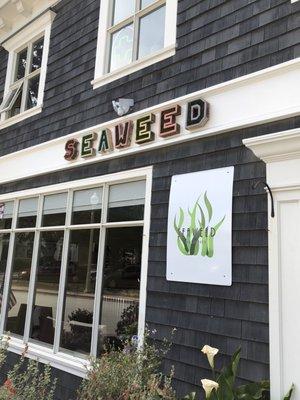 Outside of Seaweed Holistics!!