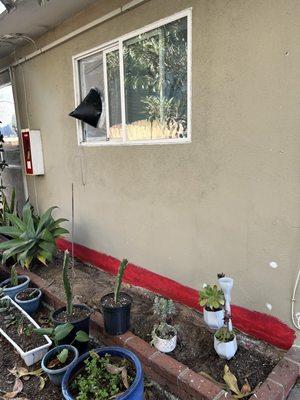 Mold remediation required the front-facing window to be open--thus not very safe