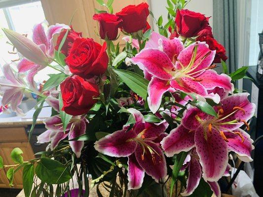 Stargazer Lilies really opened up