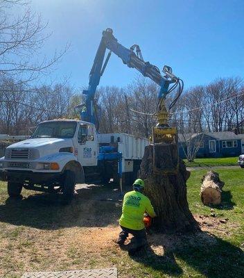 Paulo Landscaping & Tree Removal offers expert grappling services, safely removing heavy debris, trees, and large objects with ease!