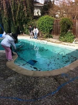 Richie Bobcat Pool Removal Service