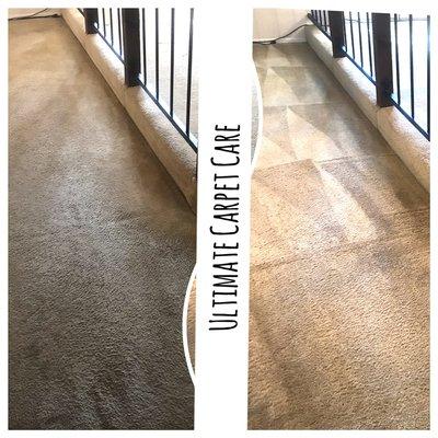 Ultimate Carpet Care