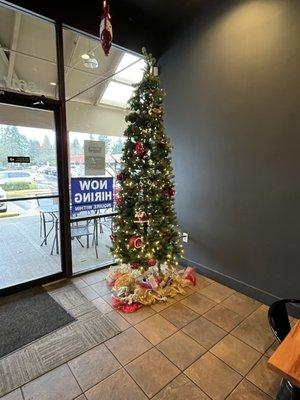 Pretty tree in lobby