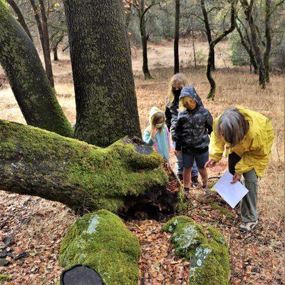 Placer Nature Center