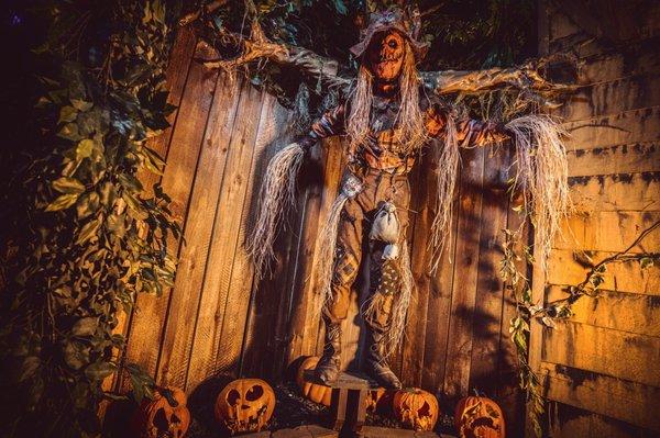 The Scarecrow Awaits Your Arrival at Massacre Haunted House