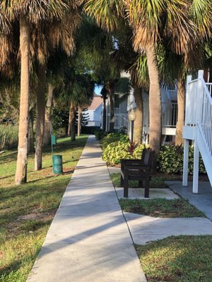 My morning walk between the hotel, the lake, on my way to get the complimentary breakfast.