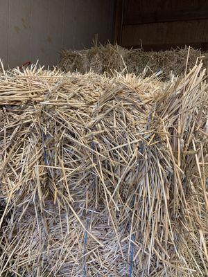 3 grain hay