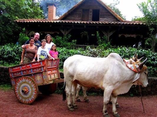 Traditional oxcart at La Paz Waterfall Gardens