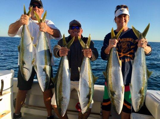 Good day of Yellowtail fishing!