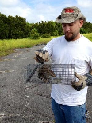 Florida Nuisance Trappers