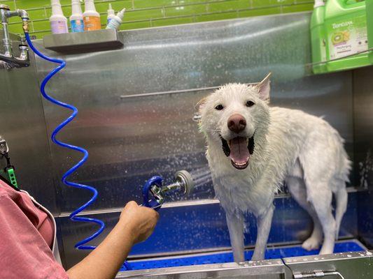 My boy LOVING his bath time.