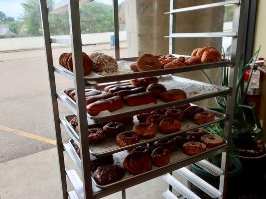 Remaining donut selection, at noon on a Wednesday.