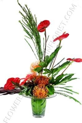 Modern contemporary design of exotic tropical blooms.