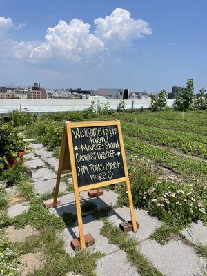 Brooklyn Grange Farm