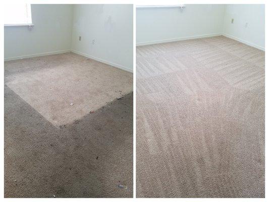 Amazing carpet cleaning results