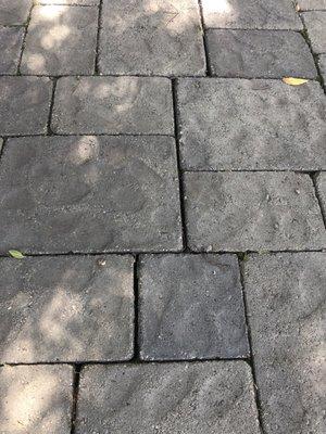 Separating pavers and it hasn't even been a year