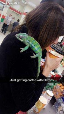 I take my chameleon there for the best coffee