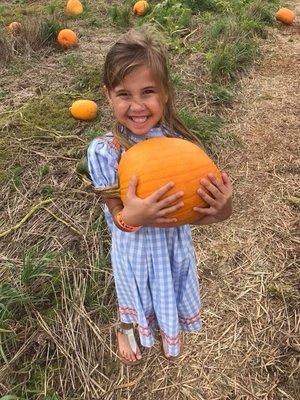 Pumpkin patch time at the Tate Farm