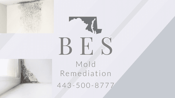 Mold Remediation 443-500-8777