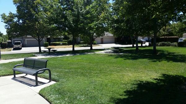 Picnic tables/benches/walking path