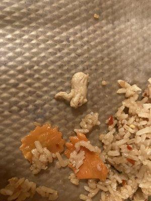 Another piece of chicken in my "vegan friendly" dish.