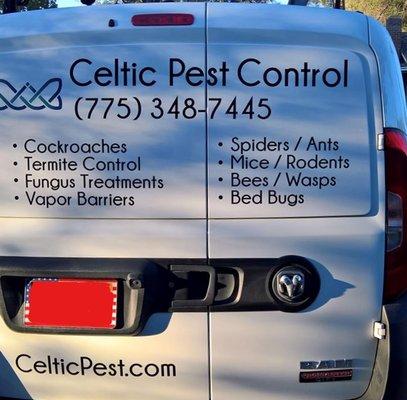 #celticpestinspections, #celticpestcontrol, #creepycrawleys